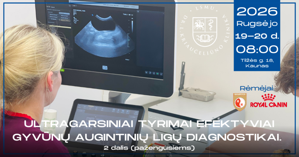 Reklaminis baneris 09 19-20 ultragarsas