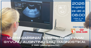 Reklaminis baneris 09 19-20 ultragarsas