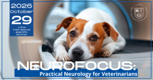 Neurofocus (blue)